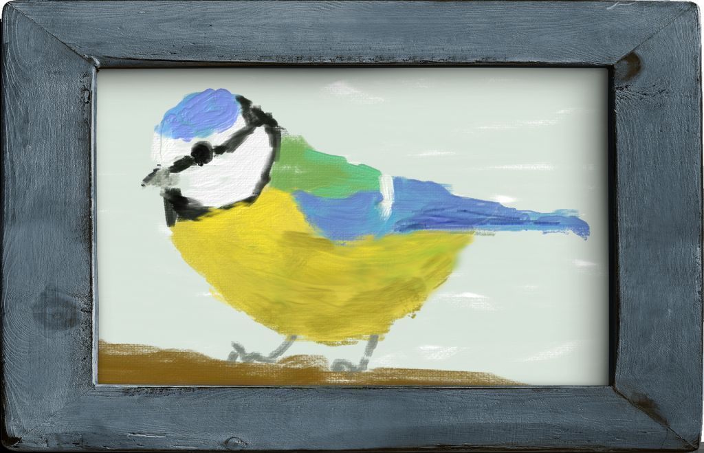 Blue Tit image 4